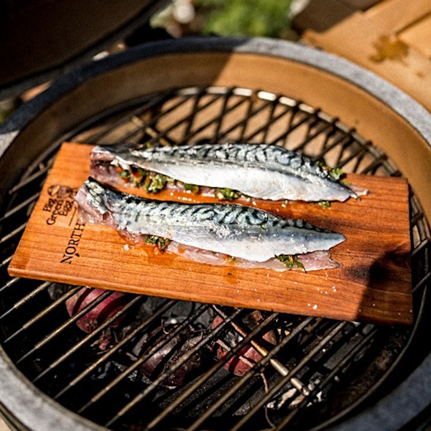 Cedar plank salmon outlet big green egg