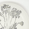 Bertozzi Round Platter / Porcelain / 35x6cm / Pratoline