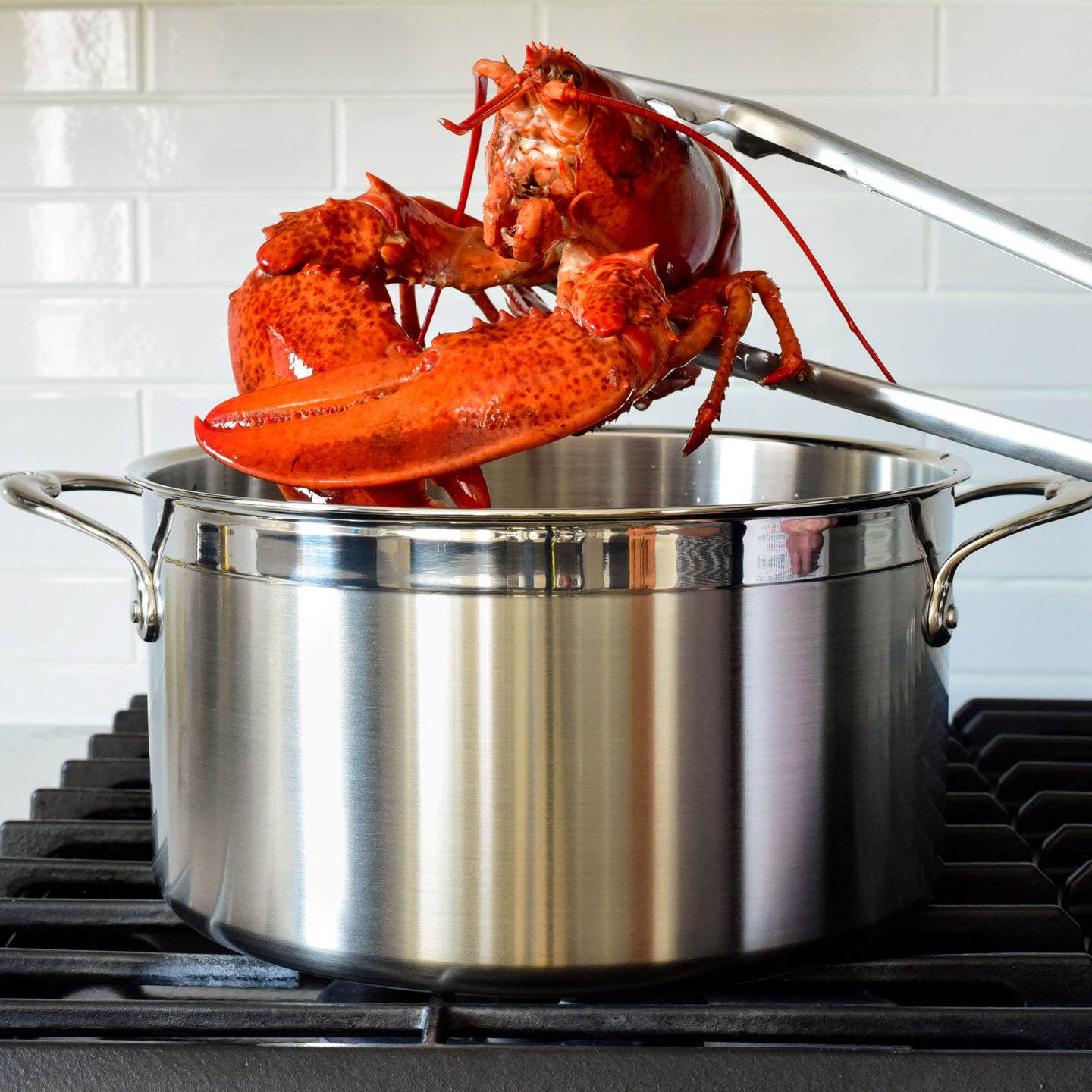 Hestan ProBond Stockpot with Lid