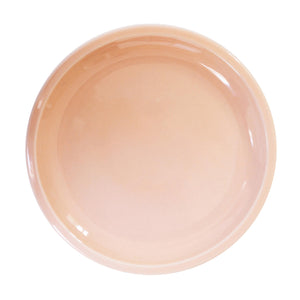 Jars Cantine Dinner Plate / 26.5cm / Rose Buvard