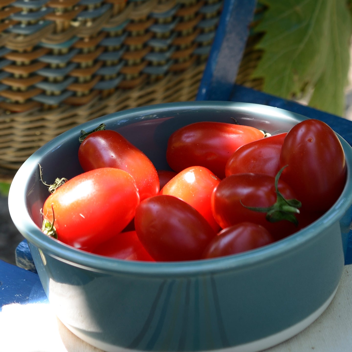 Jars Cantine Salad/Serving Bowl / 19cm / Gris Oxyde