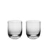 Richard Brendon Optic Tumbler / Set of 2 / Clear