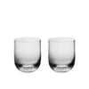 Richard Brendon Optic Tumbler / Set of 2 / Clear