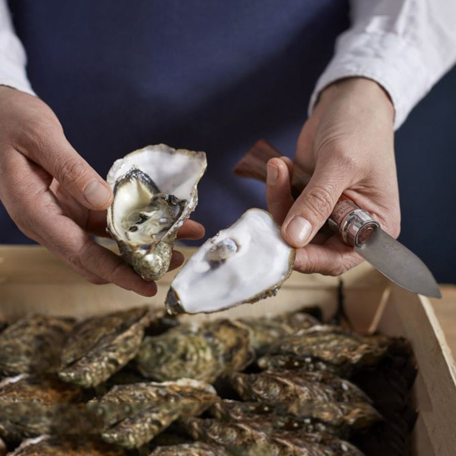 https://www.boroughkitchen.com/cdn/shop/products/opinel-oyster-shellfish-knife-lifestyle-borough-kitchen_900x900.jpg?v=1600892400